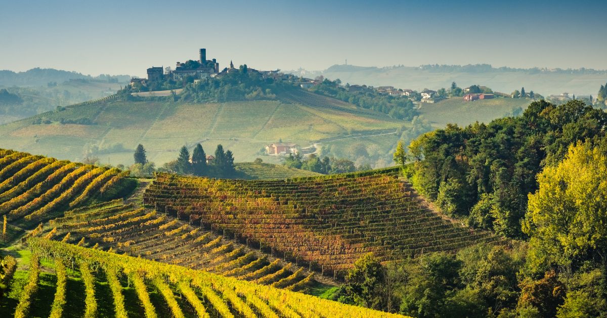 BinTraWine, la blockchain per i vini certificati della filiera lunga