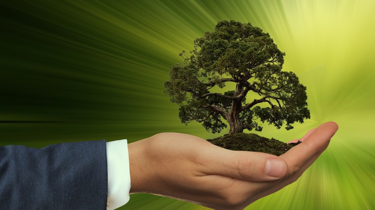 Nuove professioni, nasce il Carbon Manager