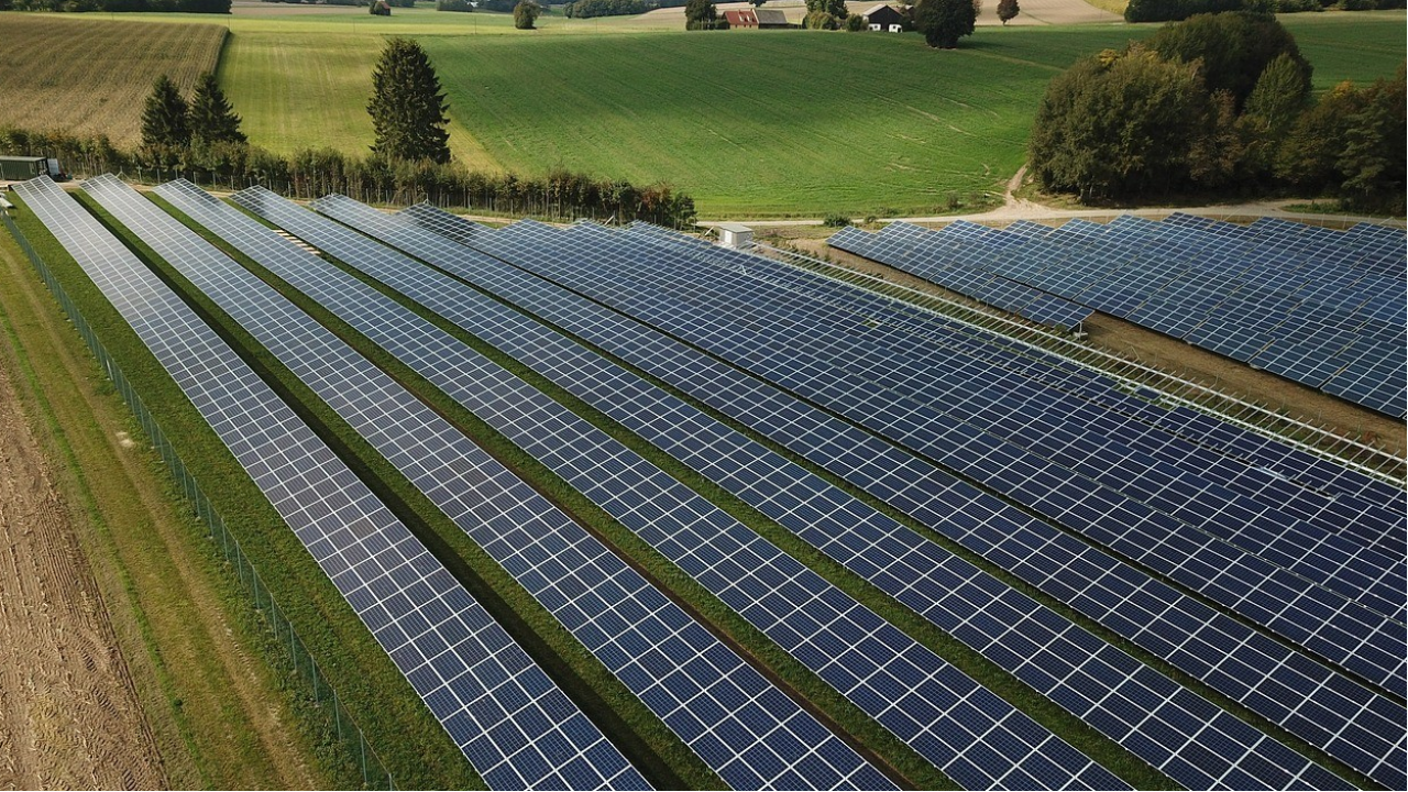 SolaX Power e Sunerg, insieme per lo sviluppo dell'agrivoltaico italiano