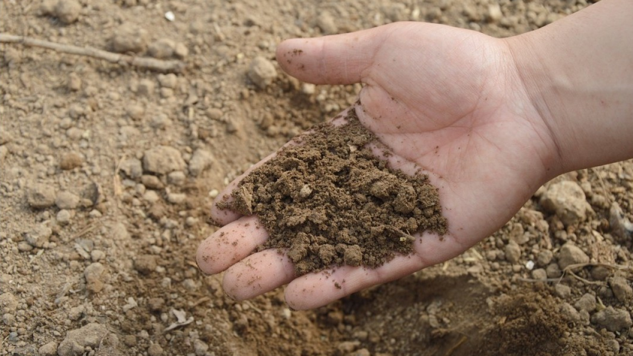 Agricoltura: le microplastiche nel suolo aumentano la resistenza agli antibiotici